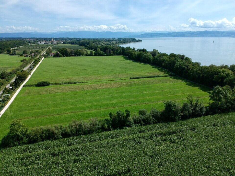 Ferien-Apartment Seewiesen Mit Privatstrand Friedrichshafen Exteriér fotografie