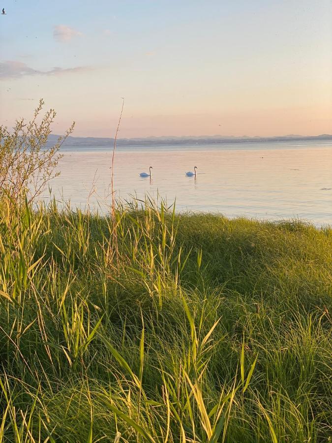 Ferien-Apartment Seewiesen Mit Privatstrand Friedrichshafen Exteriér fotografie