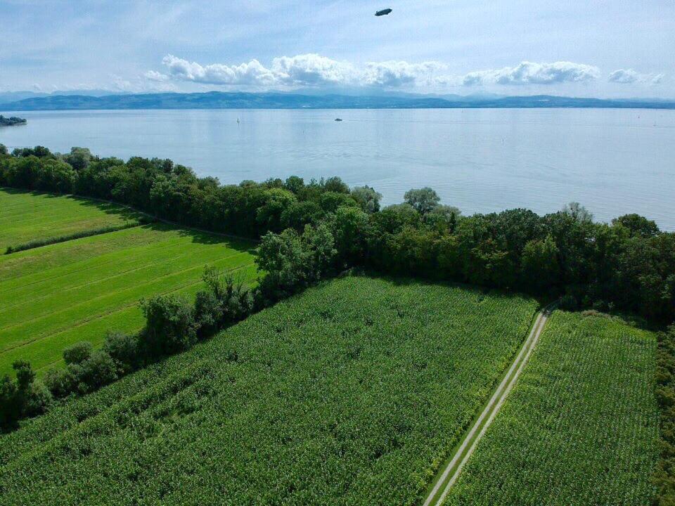 Ferien-Apartment Seewiesen Mit Privatstrand Friedrichshafen Exteriér fotografie